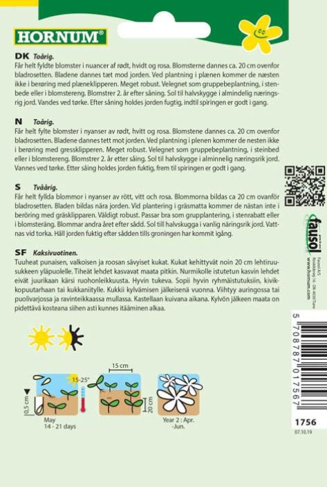 Kaunokainen, lajitelma Bellis perennis tuotekuva 1 Kaunokainen, lajitelma Bellis perennis tuotekuva 1