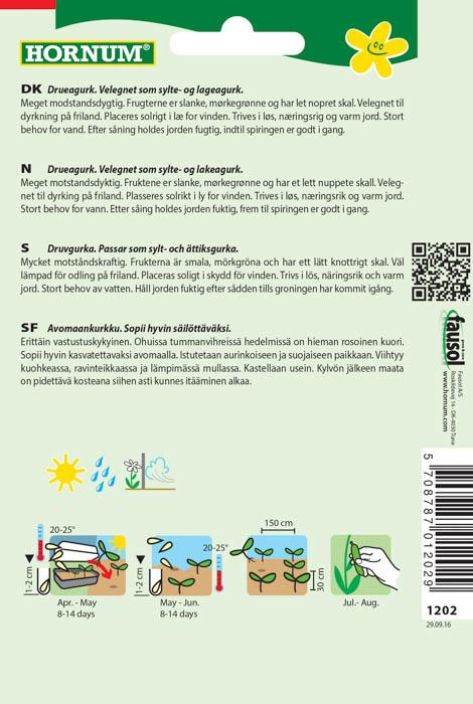 Avomaankurkku &#039;Libelle F1&#039; / &#039;Conny F1&#039; Cucumis sativus tuotekuva 1