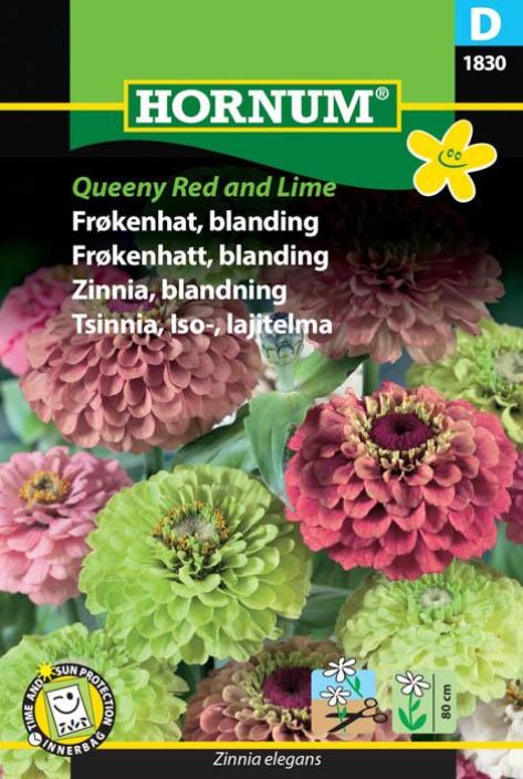 Isotsinnia, lajitelma 'Queeny Red and Lime' Isotsinnia, lajitelma 'Queeny Red and Lime'