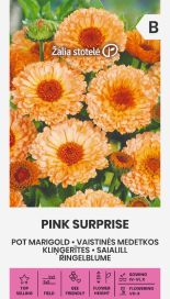 Kehäkukka 'Pink Surprise'