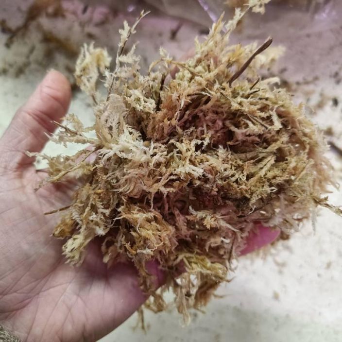 Rahkasammal 0,5 l tuotekuva 1 Rahkasammal 0,5 l tuotekuva 1