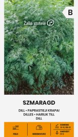 Tilli 'Smaragd'