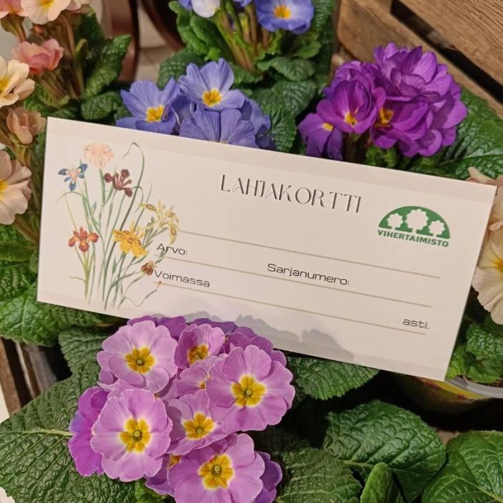 Paperinen lahjakortti