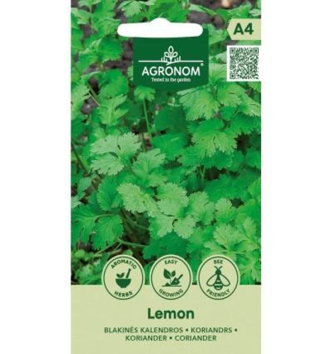 Maustekorianteri 'Lemon' Sitruuna-arominen korianterilajike Maustekorianteri 'Lemon' Sitruuna-arominen korianterilajike