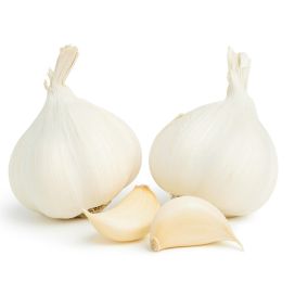 TALVIVALKOSIPULI 'MESSIDROME' Allium sativum L. 'Messidrome' 250 g