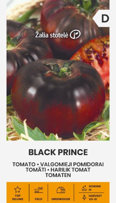 Tomaatti 'Black Prince' Korkeakasvuinen, tummia hedelmia tuottava tomaattilajike Tomaatti 'Black Prince' Korkeakasvuinen, tummia hedelmia tuottava tomaattilajike