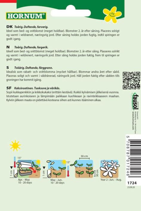 Harjaneilikka, lajitelma &#039;Grandma&#039; Dianthus barbatus tuotekuva 1