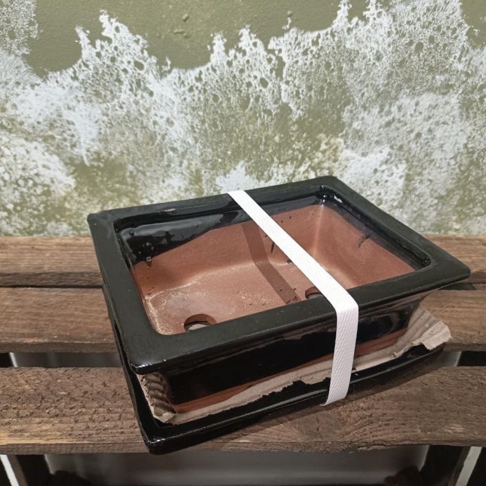 Bonsairuukku musta, s-koko Pieni, musta bonsairuukku Bonsairuukku musta, s-koko Pieni, musta bonsairuukku