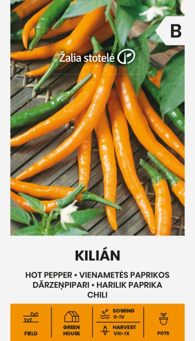 Chili 'Kilian' (Keski-)tulinen 25.000-50.000 SHU, aikainen chililajike. Chili 'Kilian' (Keski-)tulinen 25.000-50.000 SHU, aikainen chililajike.