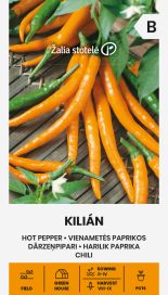 Chili 'Kilián'