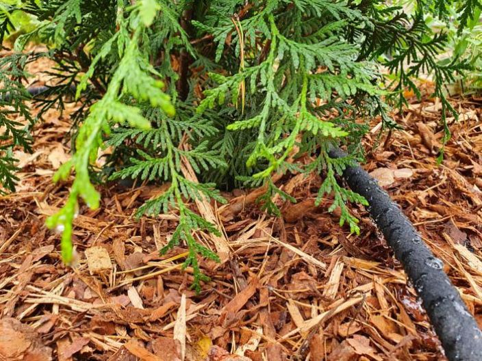 Hortex Tihkukasteluletku 15 m Paketti sisaltaa 15 metria letkua, letkuliittimen ja sulkuventtiilin. Kayttovalmis paketti!