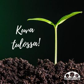 Florian pumppukäyttöiset oksasakset