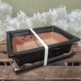 Bonsairuukku musta, l-koko