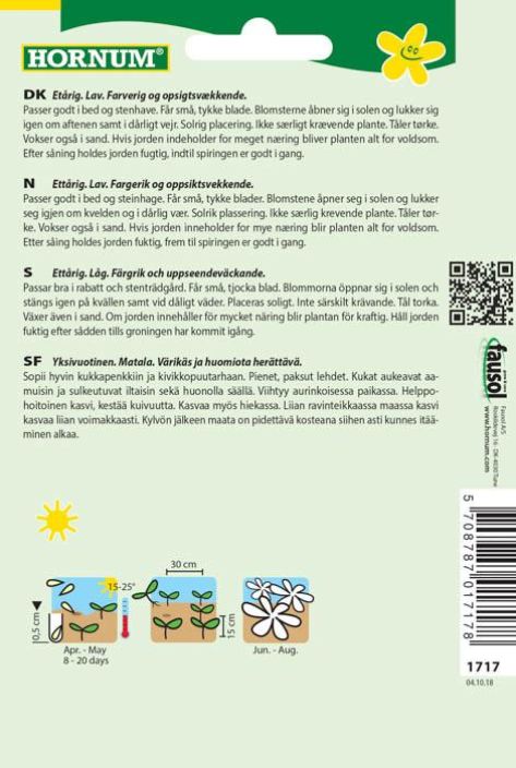 Keskipäivänkukka Dorotheanthus bellidiformis tuotekuva 1 Keskipäivänkukka Dorotheanthus bellidiformis tuotekuva 1