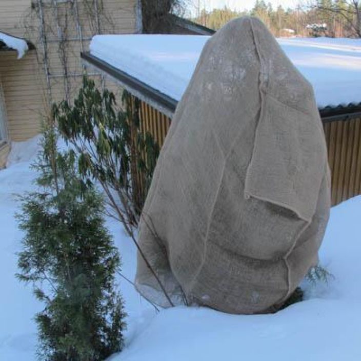 Hortex Juuttihuppu 100 x 200 cm Tiheakutoinen juuttikangashuppu suojaamaan ahavalta. Hortex Juuttihuppu 100 x 200 cm Tiheakutoinen juuttikangashuppu suojaamaan ahavalta.