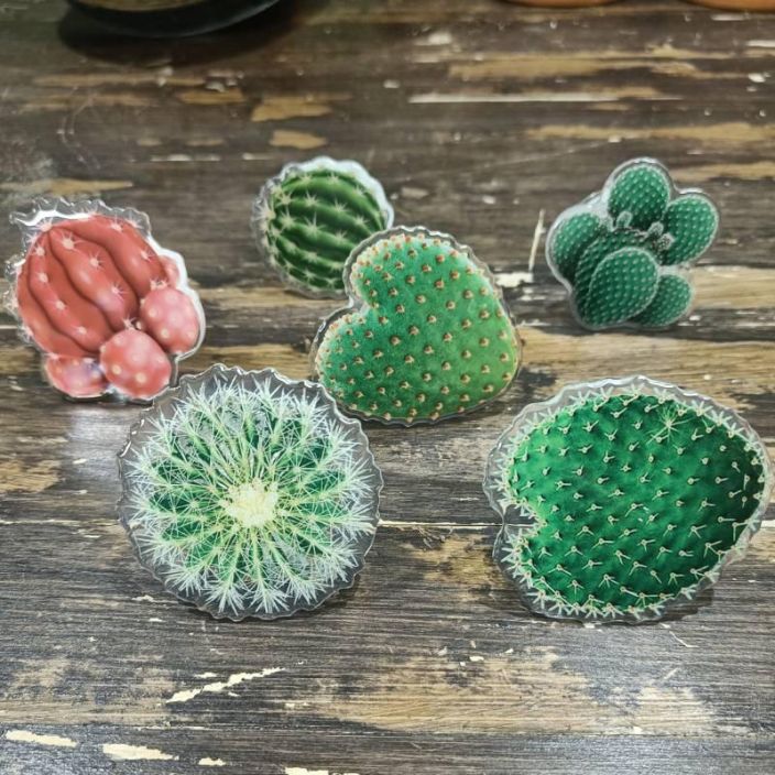 PUHELINPIDIKE, kaktus PUHELINPIDIKE, kaktus