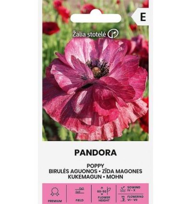 Unikko 'Pandora' Vaaleanpunainen unikko Unikko 'Pandora' Vaaleanpunainen unikko
