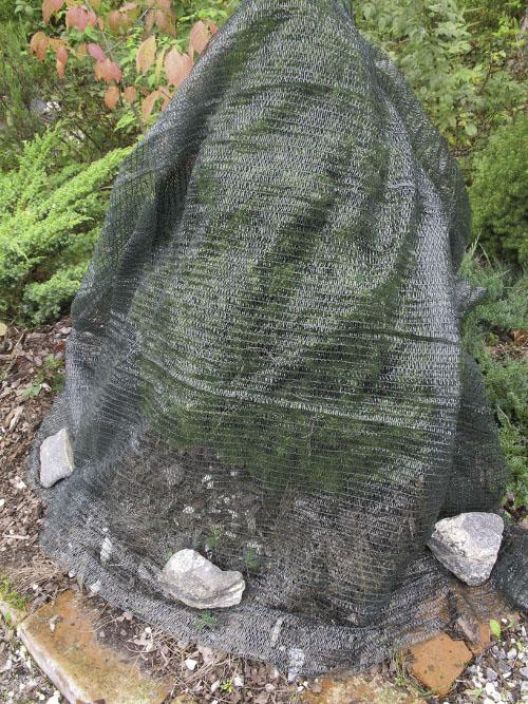 Hortex Varjostinverkko, 3,6 x 2,8m Muovinen varjostusverkko puutarhan ikivihreille kasveille. Hortex Varjostinverkko, 3,6 x 2,8m Muovinen varjostusverkko puutarhan ikivihreille kasveille.