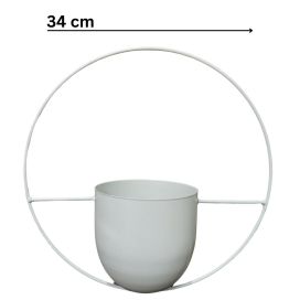 Seinäamppeli, valkoinen