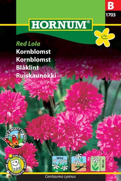 Ruiskaunokki 'Red Lola' Ruiskaunokki 'Red Lola'