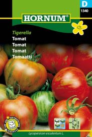 Tomaatti 'Tigerella' Solanum lycopersicum