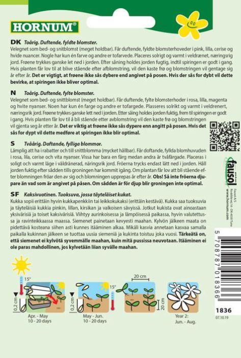 Harjaneilikka, lajitelma 'Hats On' Dianthus barbatus tuotekuva 1 Harjaneilikka, lajitelma 'Hats On' Dianthus barbatus tuotekuva 1