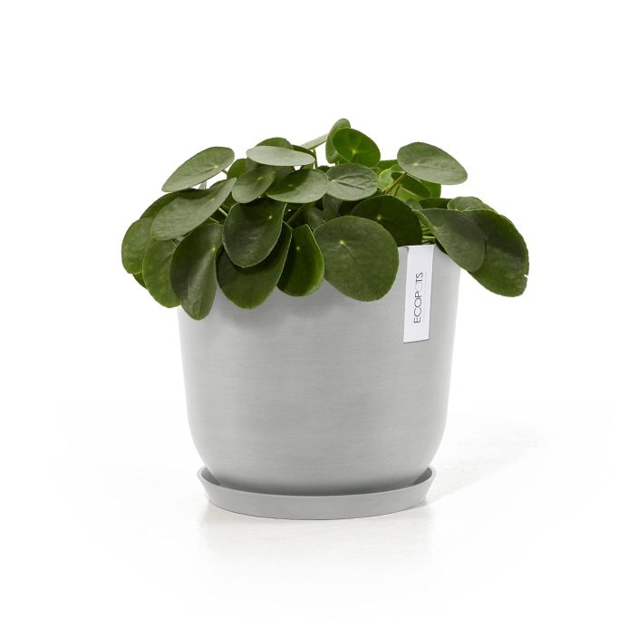 ECOPOTS AMSTERDAM 25 aluslautanen valkoharmaa tuotekuva 1