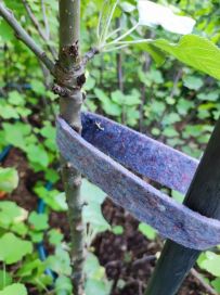 Hortex Sidontanauha 5 cm x 15 m