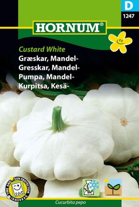 Kesakurpitsa 'Custar White' Kesakurpitsa 'Custar White'