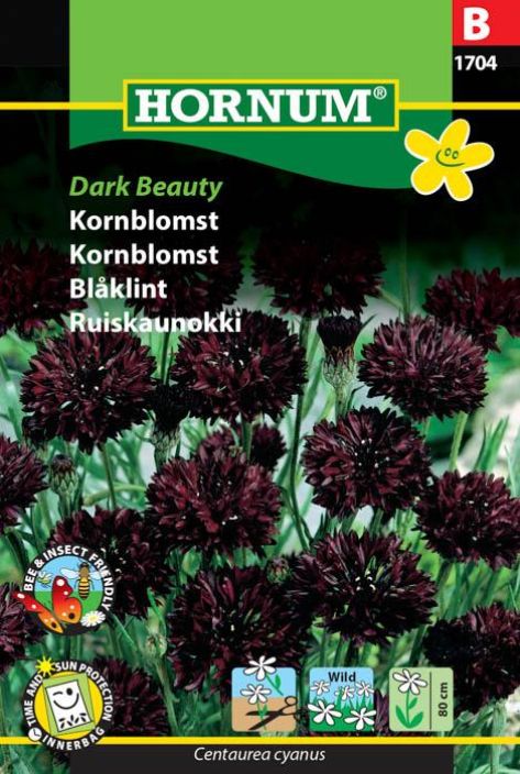 Ruiskaunokki 'Dark Beauty'