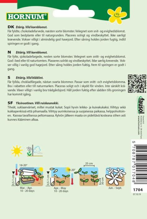 Ruiskaunokki &#039;Dark Beauty&#039; Centaurea cyanus tuotekuva 1