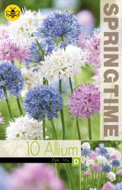 LAUKKA MIX Allium mix 10 sipulia