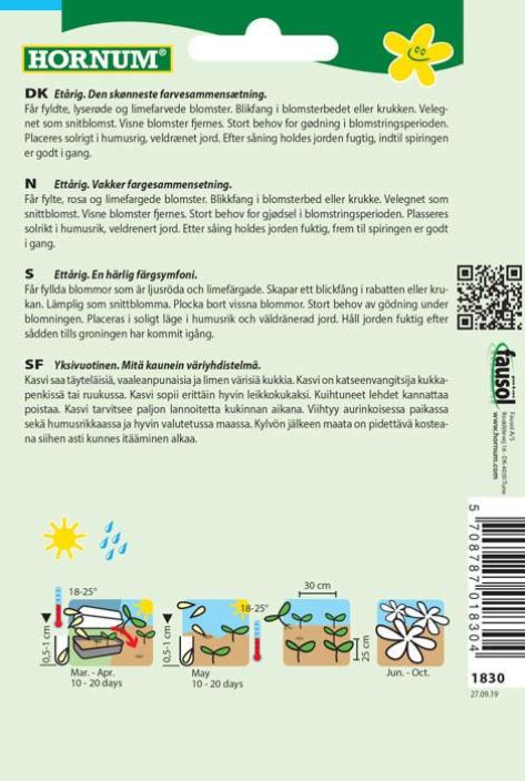 Isotsinnia, lajitelma 'Queeny Red and Lime' Zinnia elegans tuotekuva 1 Isotsinnia, lajitelma 'Queeny Red and Lime' Zinnia elegans tuotekuva 1