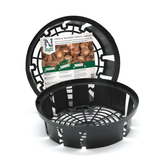 Sipulikori 3kpl, Nelson Garden Siirra sipulikukat kukinnan jalkeen. Sipulikori 3kpl, Nelson Garden Siirra sipulikukat kukinnan jalkeen.