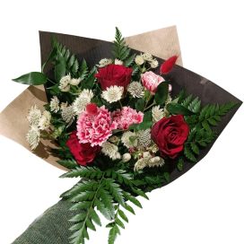 YSTÄVÄNPÄIVÄKIMPPU PUNASÄVYINEN