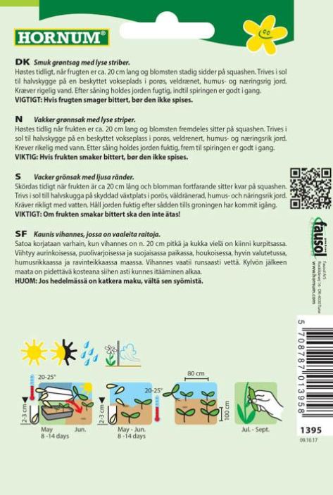 Kesäkurpitsa &#039;Coucourzelle&#039; Cucurbita pepo tuotekuva 1