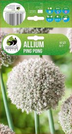 LAUKKA 'PING PONG' Allium 'Ping Pong' 10 sipulia