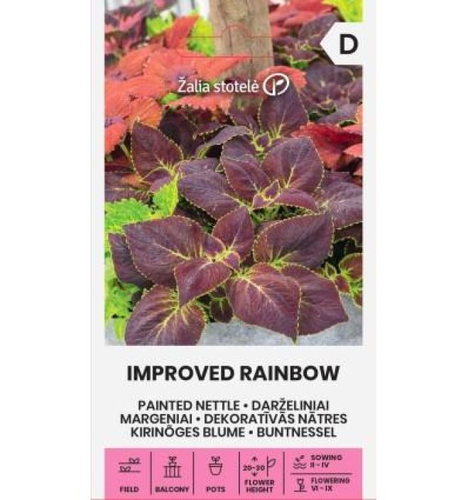 Varinokkonen 'Improved Rainbow' Yksivuotinen, varikaslehtinen koristekasvi Varinokkonen 'Improved Rainbow' Yksivuotinen, varikaslehtinen koristekasvi