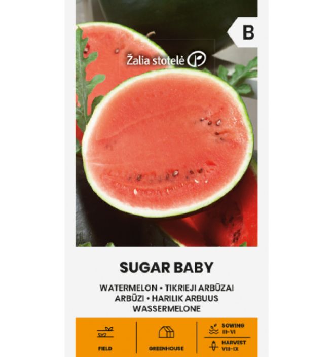 Vesimeloni Sugar Baby Aikainen, kasvihuone- ja ulkokasvatukseen sopiva lajike Vesimeloni Sugar Baby Aikainen, kasvihuone- ja ulkokasvatukseen sopiva lajike