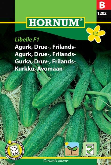 Avomaankurkku 'Libelle F1'