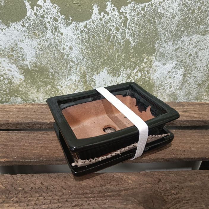 Bonsairuukku musta, xs-koko Pikkuinen, musta bonsairuukku Bonsairuukku musta, xs-koko Pikkuinen, musta bonsairuukku