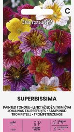 Torvikukka 'Superbissima'