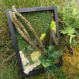 SAMMALTAULU 03, suorakulmio