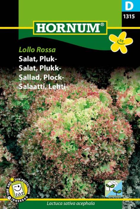 Lehtisalaatti 'Lollo Rossa' Lehtisalaatti 'Lollo Rossa'