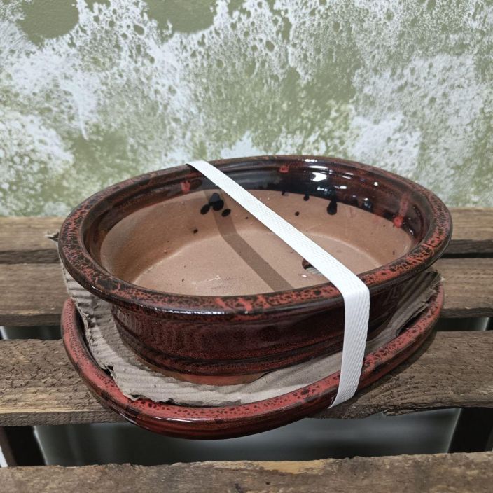 Bonsairuukku m Bonsairuukku m