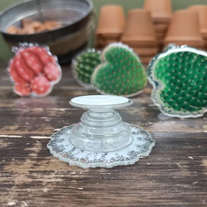 PUHELINPIDIKE, kaktus tuotekuva 1 PUHELINPIDIKE, kaktus tuotekuva 1