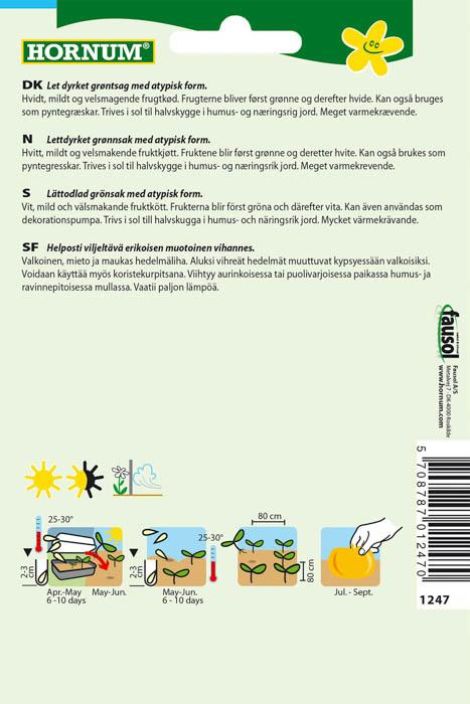 Kesäkurpitsa 'Custard White' Cucurbita pepo tuotekuva 1 Kesäkurpitsa 'Custard White' Cucurbita pepo tuotekuva 1