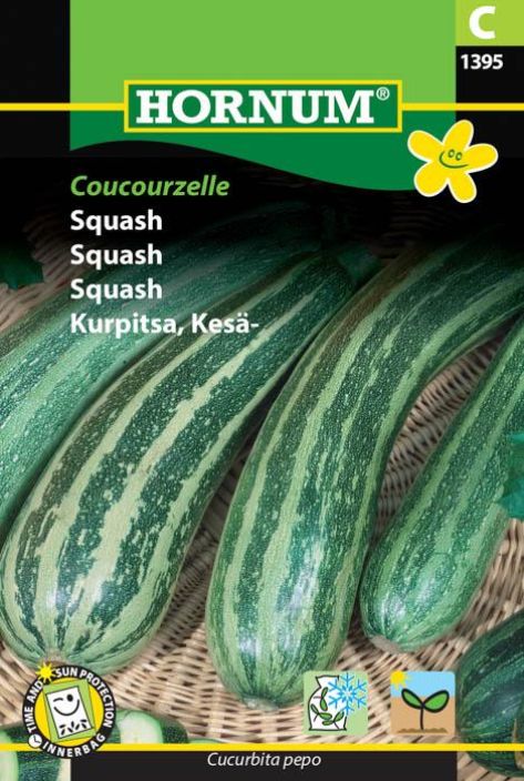 Kesakurpitsa 'Coucourzelle'
