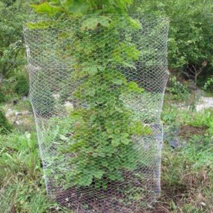 Janisverkko 1,8x2,5m