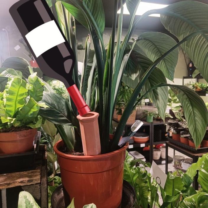 Lomakastelija terrakotta tuotekuva 1